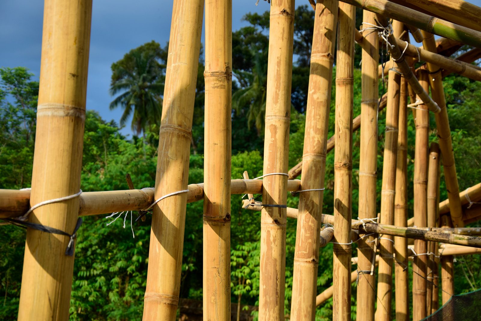 Bambus Konstruktion